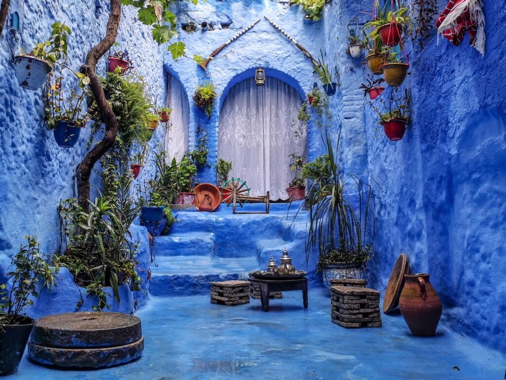 a blue alley with potted plants and a bench